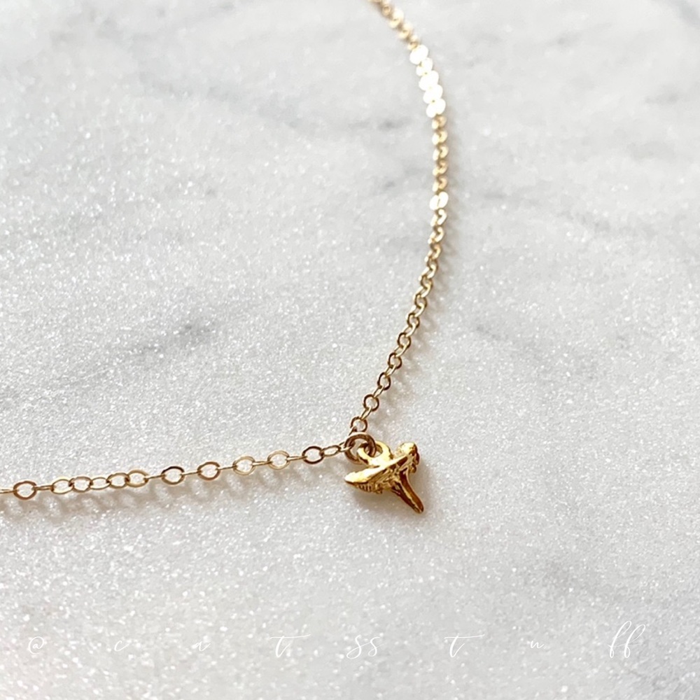 Tiny Shark Tooth Necklace